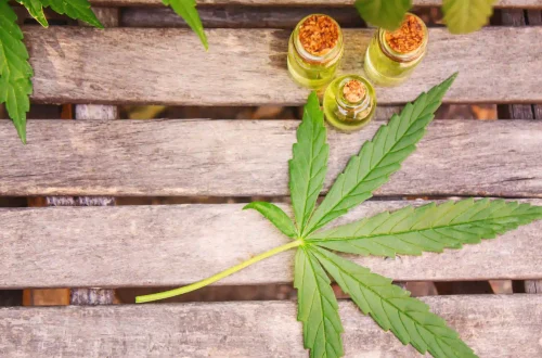 Is CBD Legal in Georgia